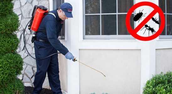 Elmalı Tahtakurusu İlaçlama böcek ilaçlama ve haşere kontrolü — ilaclama-tr.com